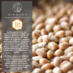 QIDOSHA Nattokinase Kapseln 2800 FU hochdosiert – Premium Enzym für Herz & Gefässe – Bild 6