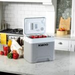 Igloo IE24 Elektrische Kühlbox 24L – 12V & 230V für Auto, Camping & Freizeit – Bild 2