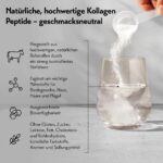 pureSGP® Kollagen 3x300g – Bioaktive Peptide mit Vitamin C & Biotin für Haut & Haare – Bild 7