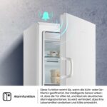 Hisense FV245N4AW2 Gefrierschrank 194 l – TotalNoFrost & SuperFreeze – Bild 12