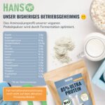 HANS Brainfood Veganes Proteinpulver 1kg – 85% Protein aus Erbse, Reis & Hanf, Bio – Bild 2