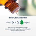 RubaXX Arthro 100ml – Natürliches Arzneimittel gegen Arthrose & Gelenkschmerzen – Bild 5