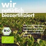 Resveratrol 500 mg Trans-Resveratrol – Hochdosiert mit Piperin für optimale Bioverfügbarkeit – Bild 4