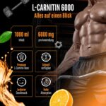 L-Carnitin 6000 Liquid 1000 ml Orange – Hochdosiertes Trainings-Supplement für Sportler – Bild 2