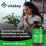 Vitabay Spermidin 6 mg – 120 vegane Kapseln aus fermentiertem Weizenkeimextrakt – Bild 2