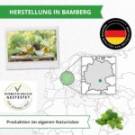 Lenevin BIO Moossalbe 60ml – Anti-Falten Creme mit Isländisch Moos & Hyaluron für sensible Haut – Bild 7