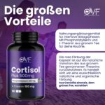 Phosphatidylserin 400 mg + L-Theanin 100 mg – 90 vegane Kapseln Made in Italy – Bild 5