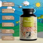 NatureWell Magtein® Magnesium-L-Threonat 120 Kapseln – 2000 mg hochdosiert für 30 Tage – Bild 2