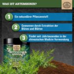 100g Artemisia Annua Extrakt Pulver 30:1 – Hochdosiert mit Artemisinin von Scheunengut – Bild 3