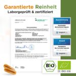 Bio Kurkuma Kapseln Phytholistic – 300 mg Curcuminoide – 40x höhere Bioverfügbarkeit – Bild 7