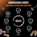 Ashwagandha Shoden® 300 mg – 60 Kapseln mit 35% Withanolide | GEN German Elite Nutrition – Bild 4