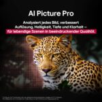 LG OLED65C5ELB 65 Zoll 4K OLED evo AI TV – α9 Gen8 Prozessor & 144Hz Gaming – Bild 8