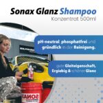 Autowäsche Set mit SONAX Shampoo, Felgenreiniger & Detailer – Komplettset für Profireinigung – Bild 3