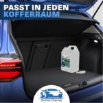 AdBlue 20 L (2x10 L) ISO 22240 mit Ausgiesser – Made in Germany – Bild 5