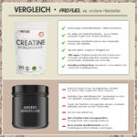 ProFuel Creatin Monohydrat Pulver 3kg – Mikronisiert, 100% Vegan, 876 Portionen – Bild 3