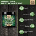 100g Artemisia Annua Extrakt Pulver 30:1 – Hochdosiert mit Artemisinin von Scheunengut – Bild 2