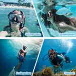 Qheng Schnorchelset für Erwachsene mit 180° Panoramablick – Trockenschnorchel & Tauchmaske – Bild 7