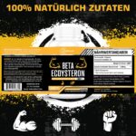 Beta-Ecdysteron 1200 mg mit 98% Reinheit – Kraft & Leistung für Sportler | 60 Kapseln – Bild 5
