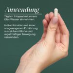 Primal Biotics – Tägliches Probiotika-Supplement mit 15 Bakterienstämmen & 100 Mrd. KBE – Bild 4