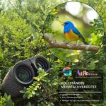 Hontry Fernglas 10x25 – Kompakt & Robust für Vogelbeobachtung, Jagd & Sport – Bild 2