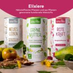 Rote Kraft 2.0 Energy Elixier 600g – Natürliches Energie Smoothie Pulver von Alpha Foods – Bild 11