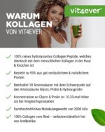 Vit4ever Collagen Pulver 1000 g – Bioaktives Kollagen Hydrolysat Typ 1 & 3 – Bild 5