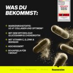 natural elements Kollagen Typ 2 Komplex mit UC-II & OptiMSM – Knochen- & Gelenkgesundheit – Bild 3