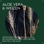 Aveda Volumizing Tonic 100 ml – Volumen-Spray für feines Haar mit Bio-Aloe – Bild 3