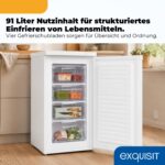 Exquisit GS512-040E Gefrierschrank 91 l – Kompakter Tiefkühlschrank mit 4-Sterne-Fach – Bild 5