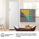Hisense FV245N4AW2 Gefrierschrank 194 l – TotalNoFrost & SuperFreeze – Bild 10