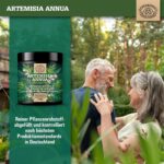 100g Artemisia Annua Extrakt Pulver 30:1 – Hochdosiert mit Artemisinin von Scheunengut – Bild 4