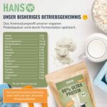 HANS Brainfood 1kg Bio Erbsenprotein 90% – Veganes Proteinpulver mit Optimalem Aminosäureprofil – Bild 2