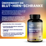 OVF NeuroMAG Komplett – 120 Kapseln | 4er Magnesium-Formel für Gehirn & Nervensystem – Bild 3