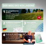555g Kollagen Pulver Typ I & III – Premium Schweizer Weidehaltung für Gelenke & Haut – Bild 3