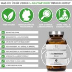 QIDOSHA L-Glutathion 500 mg – hochdosiert & reduziert, 120 vegane Kapseln – Bild 3