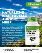 Vit4ever Grünlippmuschel 365 Kapseln à 600 mg – Hochdosiert mit natürlichen Glycosaminoglykanen – Bild 2
