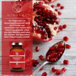 QIDOSHA Granatapfel Extrakt Kapseln hochdosiert – 70% Ellagsäure, 180 Stk, deutsche Fertigung – Bild 7