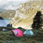 com-four® 24er Set Zeltheringe Stahl – Schraubheringe 20,5 cm für Hartboden & Camping – Bild 2