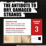 Bed Head Resurrection Shampoo & Conditioner Set 2x750ml – Reparatur für trockenes Haar – Bild 3