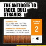 TIGI Bed Head Colour Goddess Set 2x750ml – Professionelle Farbpflege mit Keratin & Mandelöl – Bild 4