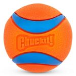 Chuckit! Ultra Ball 8er-Set mit Trageeimer – Apportierball für Hunde – Bild 3