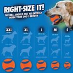 Chuckit! Ultra Ball 8er-Set mit Trageeimer – Apportierball für Hunde – Bild 5