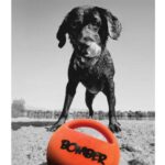 Zeus Bomber Durafoam Spielball 15cm – Interaktives Hundespielzeug zum Werfen & Apportieren – Bild 2