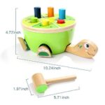 TOP Bright Hammerspiel Schildkröte – Montessori Holzspielzeug ab 1 Jahr – Bild 3