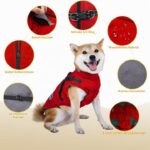 Aisuowa Hundewintermantel wasserdicht mit Fleece – Wärmeschutz für kleine bis grosse Hunde – Bild 5