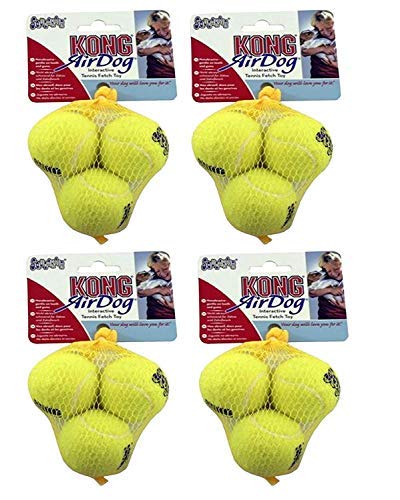 KONG SqueakAir Tennisbälle XS – Quietschbälle für kleine Hunde, 12er-Pack