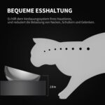 PETKIT CYBERTAIL Erhöhter Futternapf Edelstahl – Ergonomisch gekippte Napfschale für Katzen & kleine Hunde – Bild 4