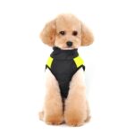 Ectkuee Wasserdichte Hundejacke – Gesteppter Wintermantel für kleine Hunde – Bild 2