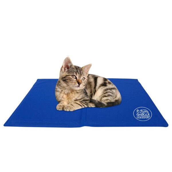 Bravpet Kühlmatte M (50x40 cm) – Selbstkühlendes Haustier Pad für Hunde & Katzen