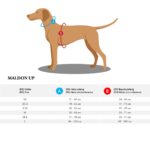 HUNTER Maldon UP Hundegeschirr Grösse S-M – Reflektierendes Nylon-Geschirr mit 3M Scotchlite – Bild 2